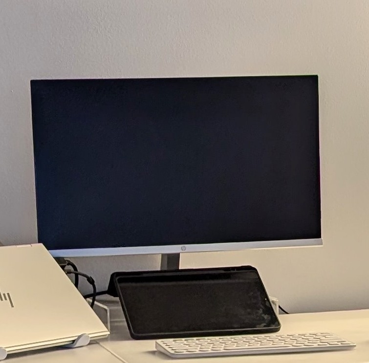 HP Monitor - photo 2