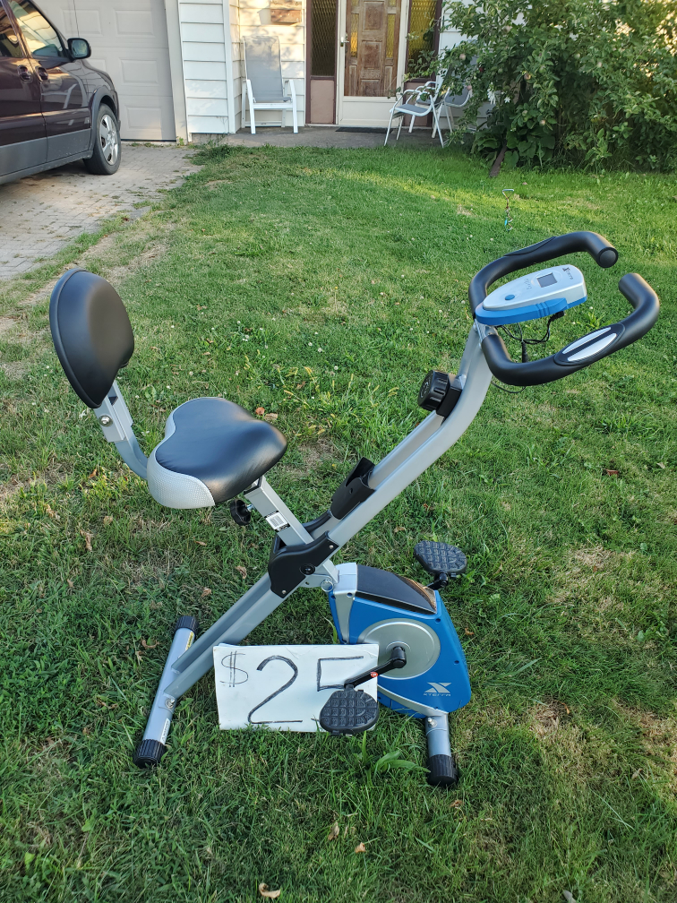 Exercise Bike with Back Support