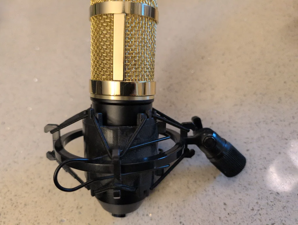 Zingyou Condenser Microphone - Gold image indicator(2)