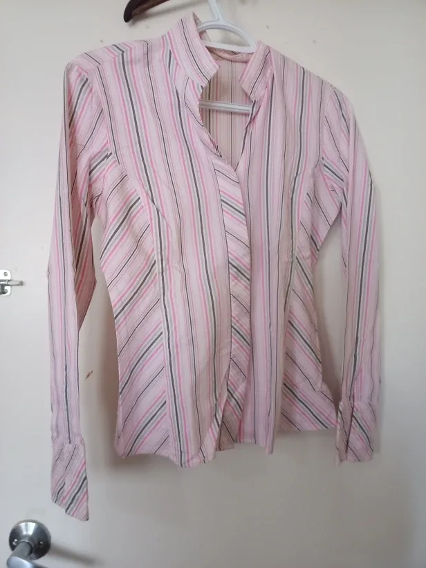 Striped Pink Blouse