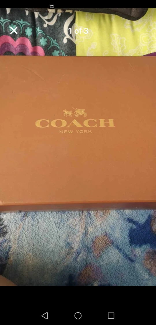 Coach Pete Hi Top White/Grass Shoes - Size 12D