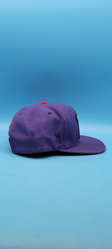 🥳VGC🤩 Mitchell & Ness Raptors Purple Hat - photo 4