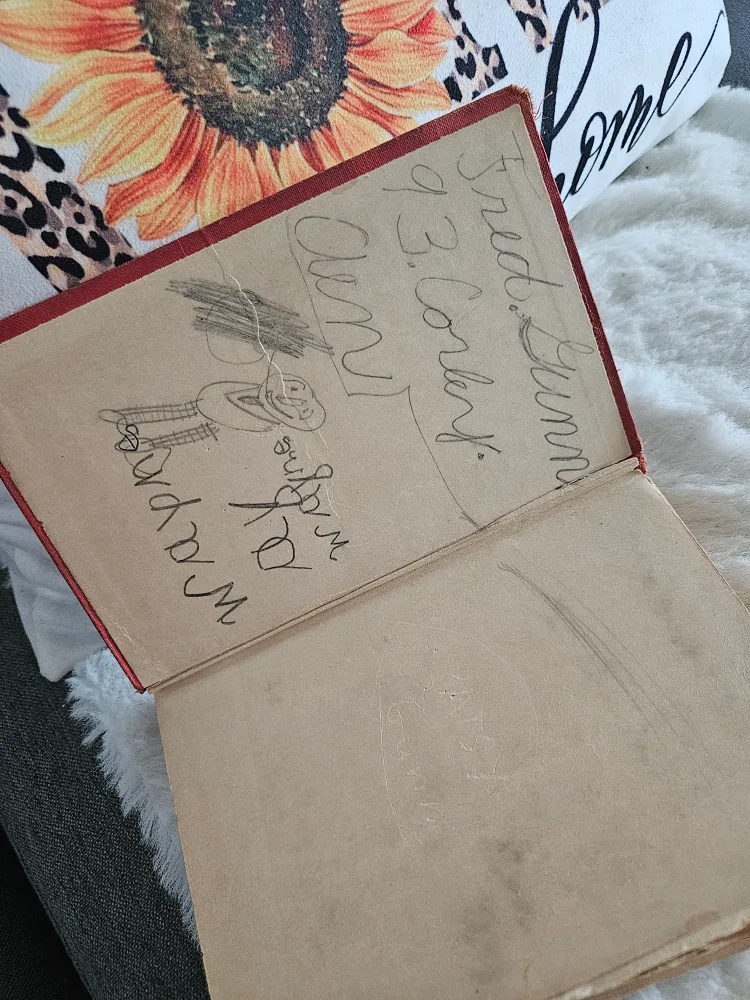 Honey Bunch: Her First Visit to the City by Helen Thorndyke image indicator(8)