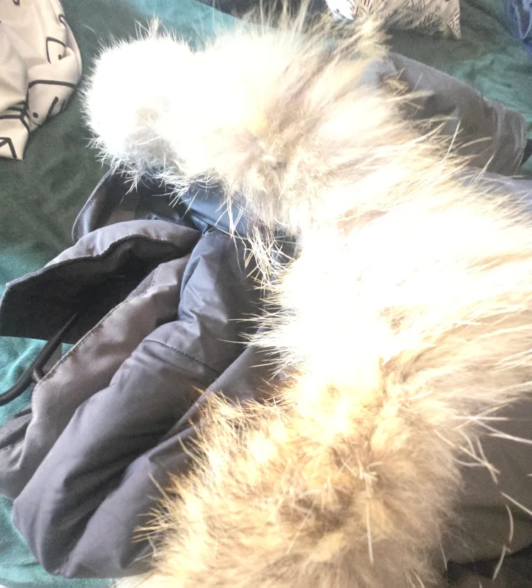 Canada Goose Parka image indicator(6)