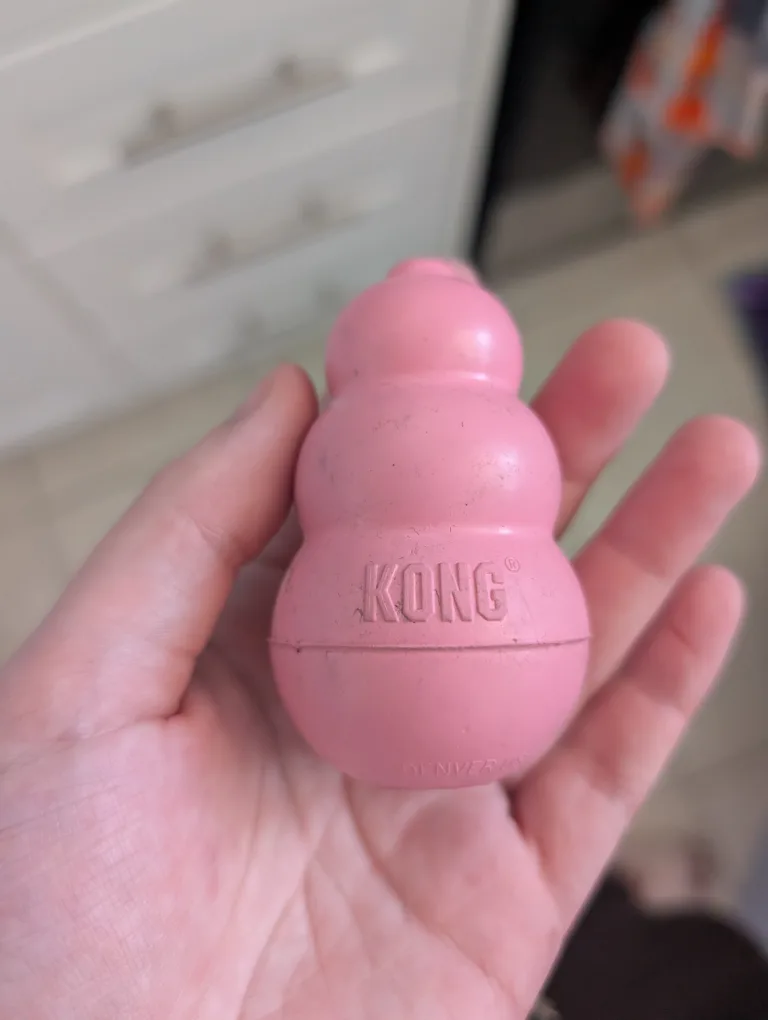 Dog Kong Toy thumbnail