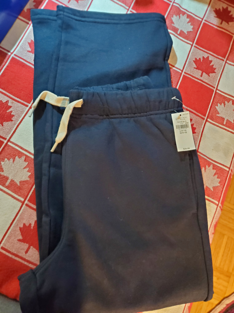 Gap Kids Navy Blue Sweatpants Size L (10-12)