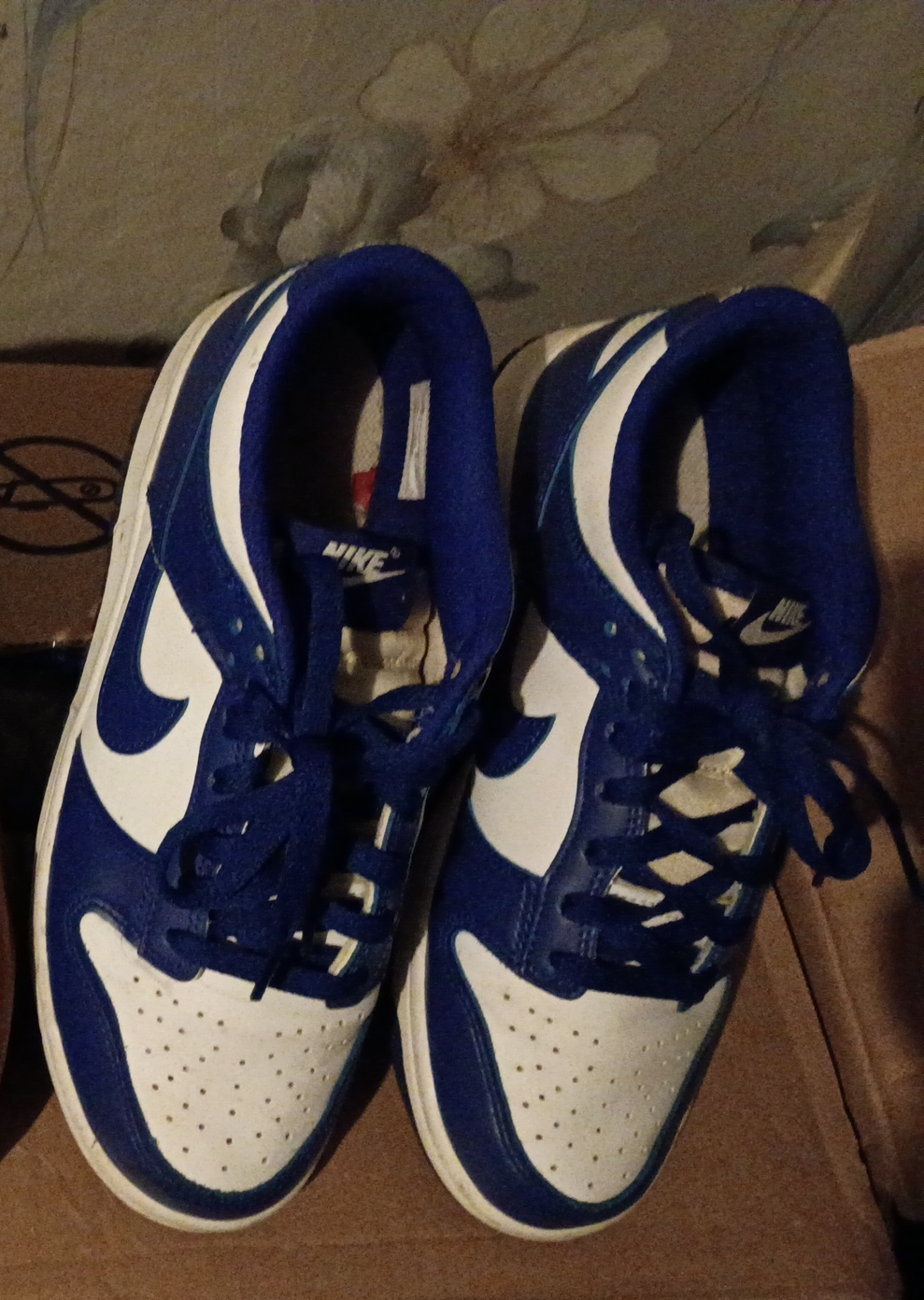 Nike Dunk Low Blue/White Sneakers