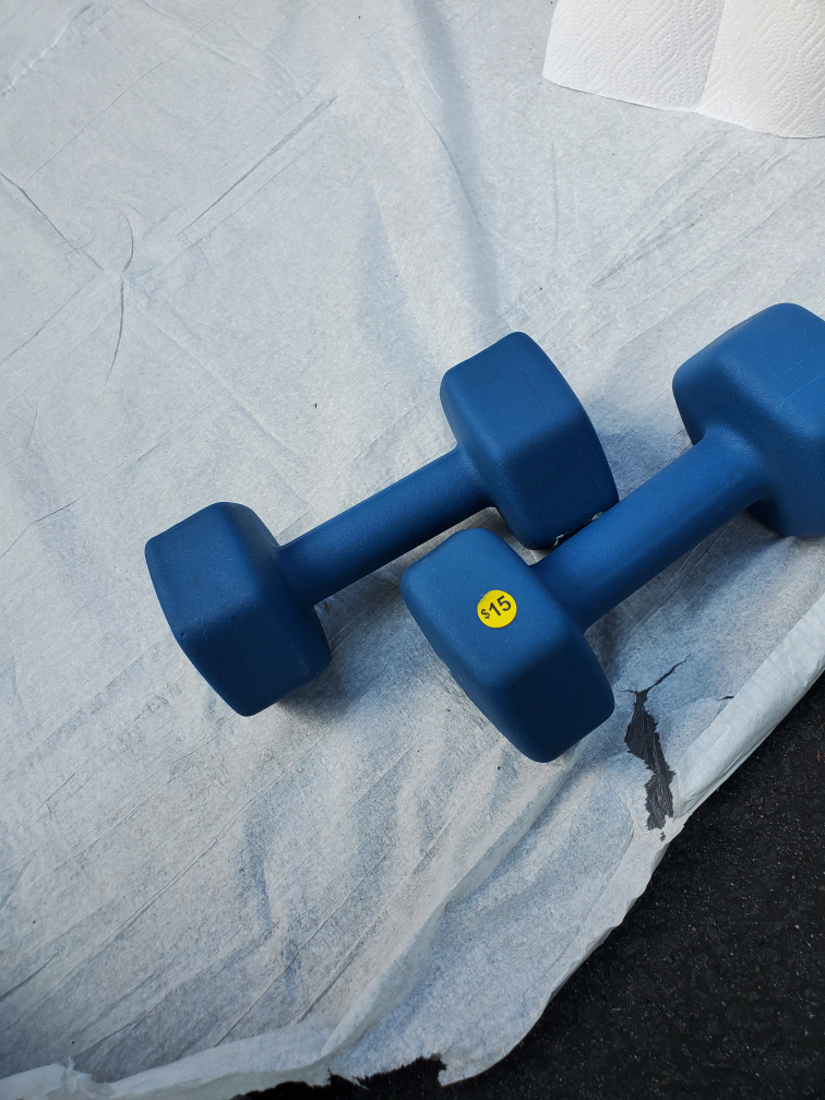Pair of 20 lb Blue Dumbbells - photo 2