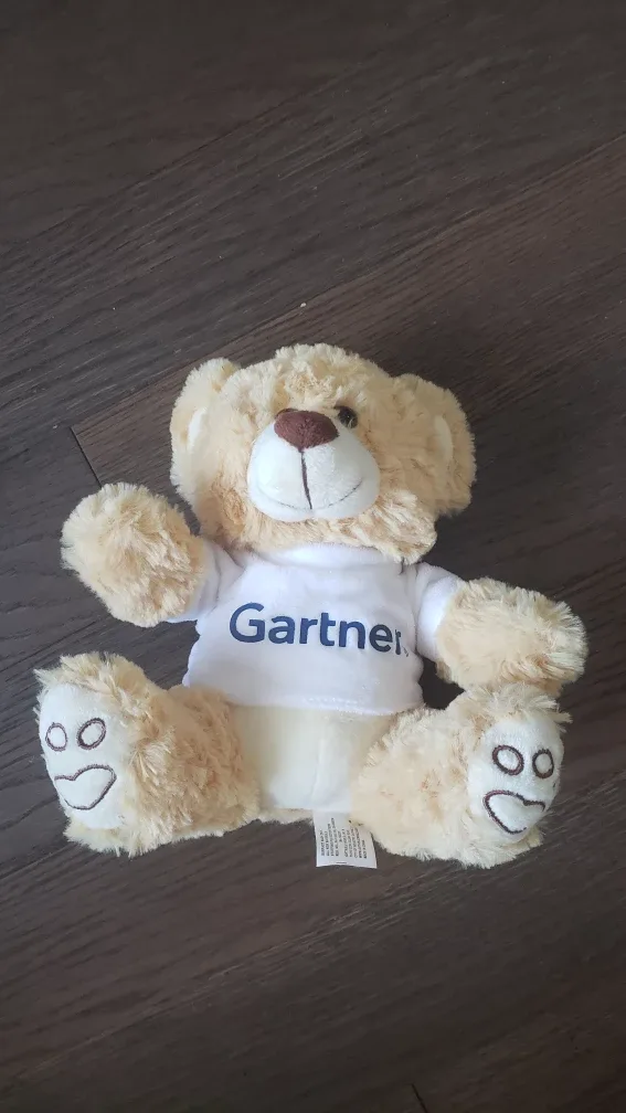 Teddy Bear Plush Toy thumbnail