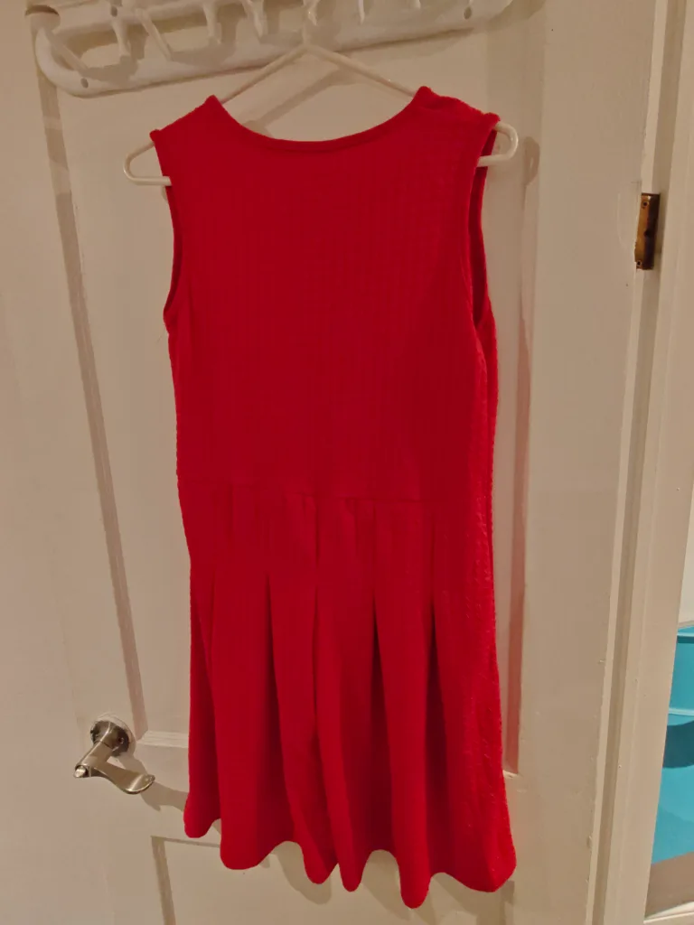 Red Sleeveless Dress image indicator(2)