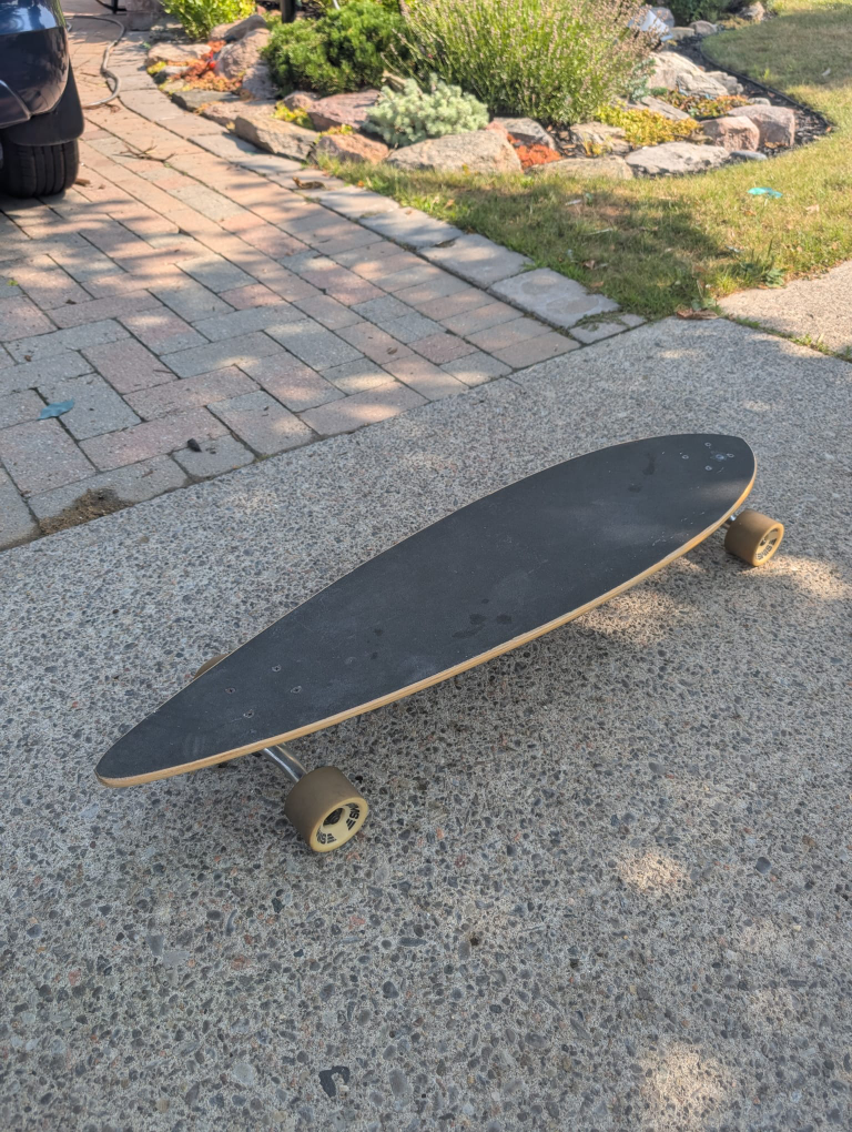 Sims Longboard Skateboard