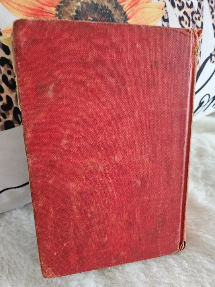 Honey Bunch: Her First Visit to the City by Helen Thorndyke image indicator(3)