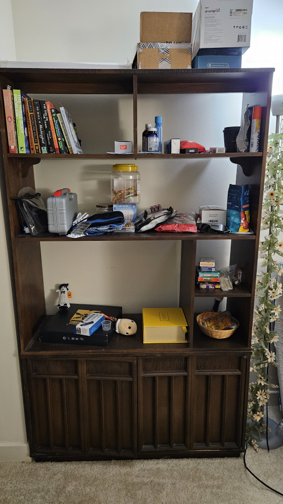 Vintage Dark Wood Bookshelf with Storage