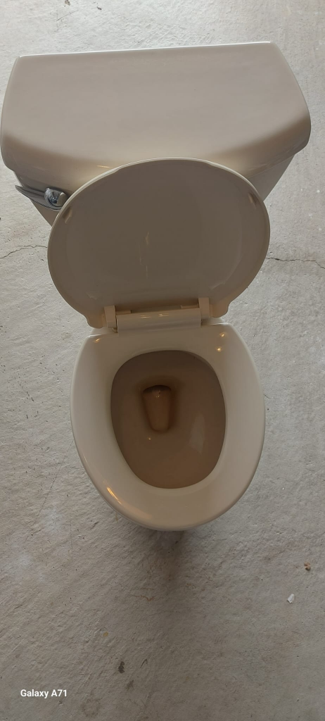 American Standard Beige Toilet
