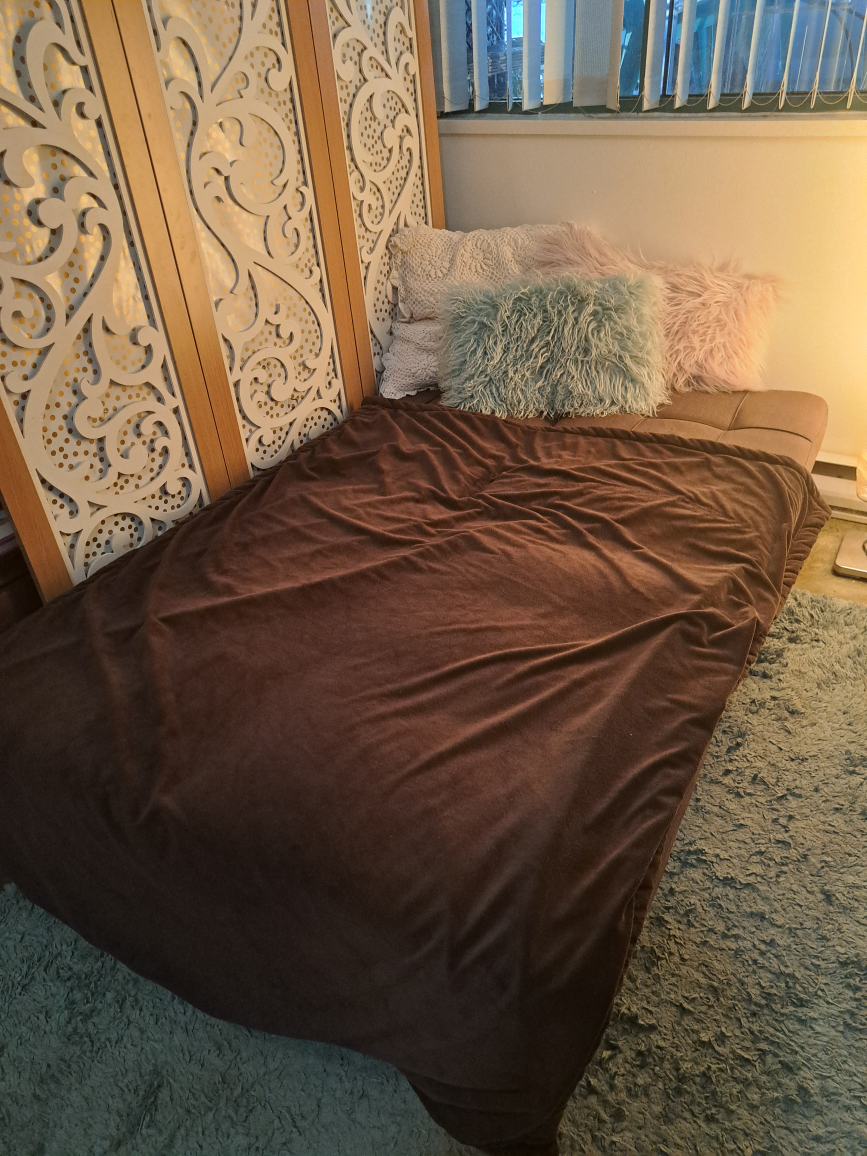 Brown Couch/Bed Converts Easily - photo 5