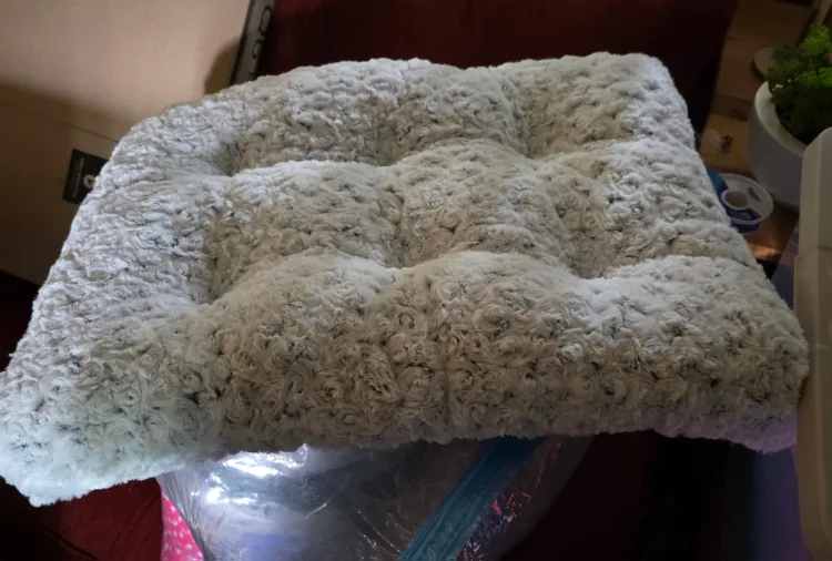 Gray Pet Bed thumbnail