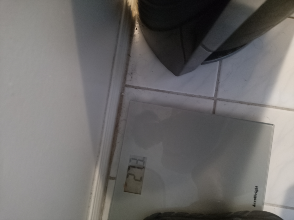 AccuWeight Digital Bathroom Scale - photo 2