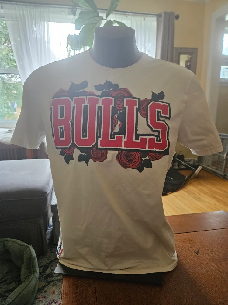 Chicago Bulls Pro Standard T-Shirt