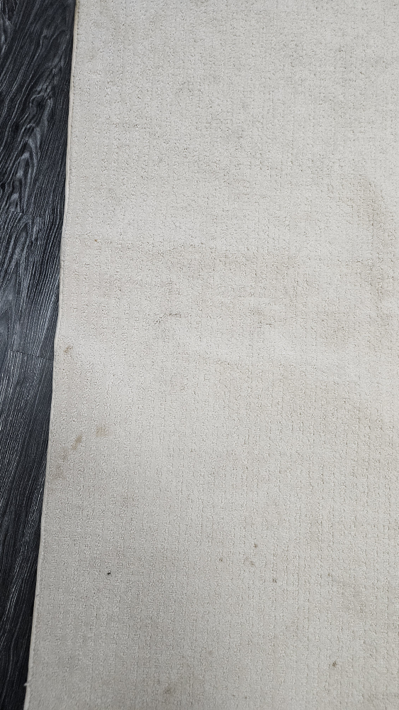 Used Area Rug size 4×6 - photo 3