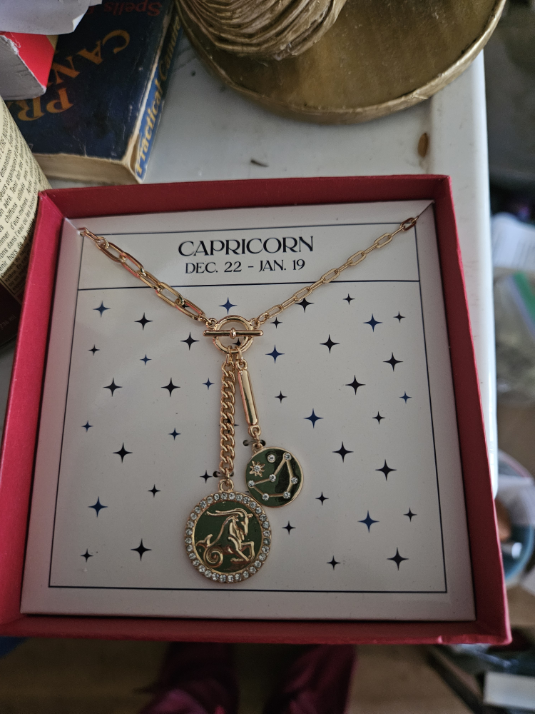 Capricorn Zodiac Necklace