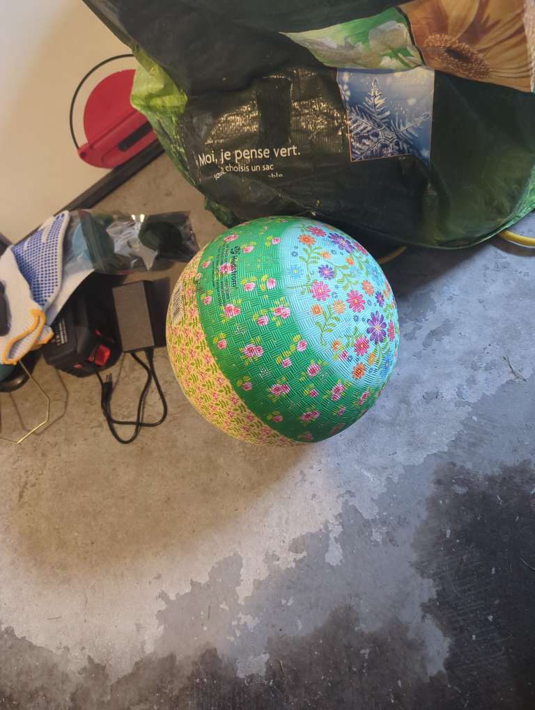 Free Hedstrom Floral Playground Ball
