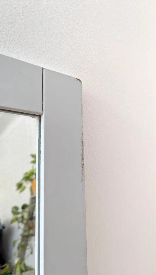 Mirror 🧡 image indicator(2)