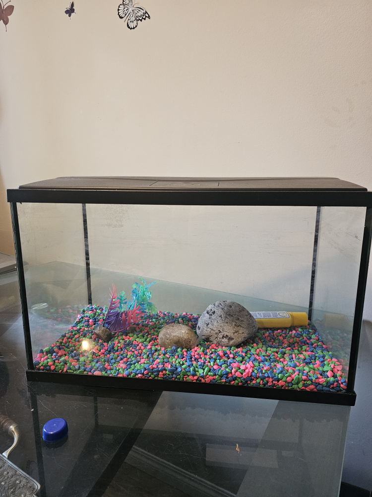Top Fin Fish Tank with Accessories