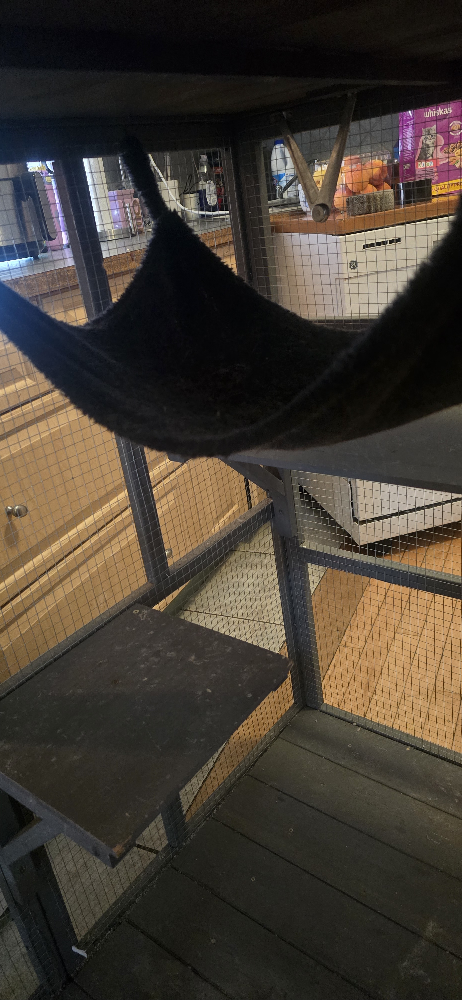 Large Indoor Cat Cage with Wheels - photo 4