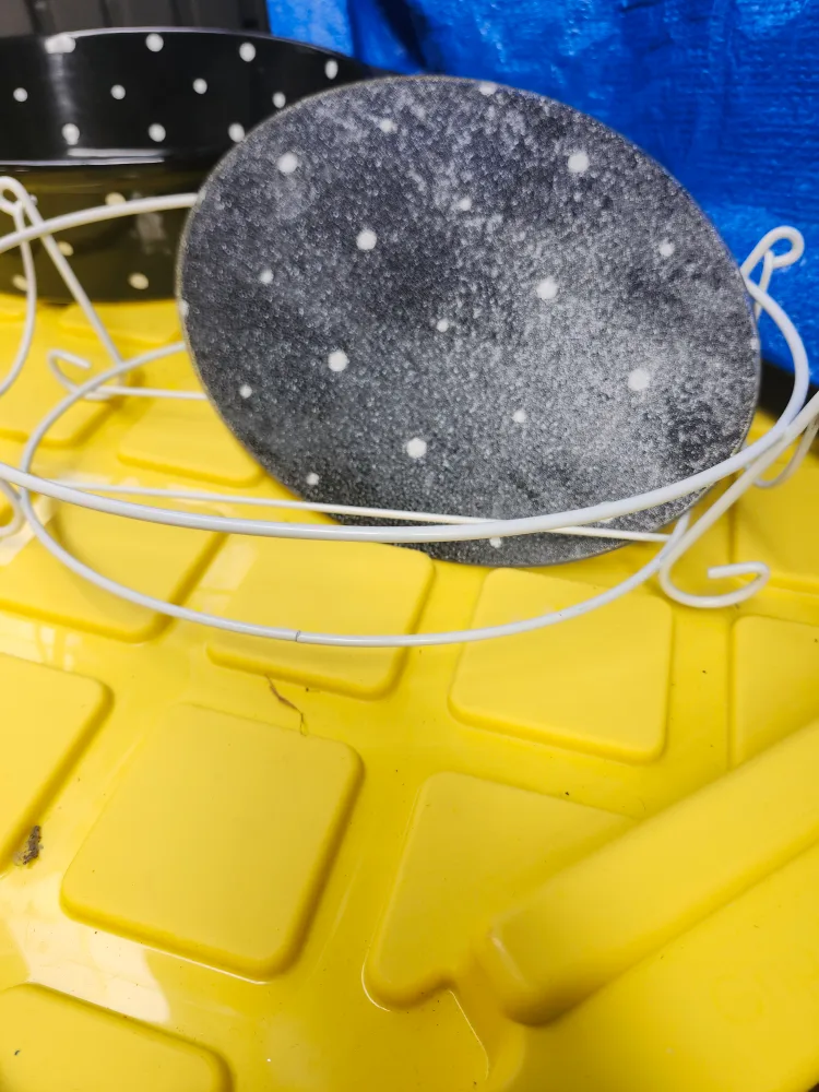 Black & White Polka Dot Bowl with Stand image indicator(4)