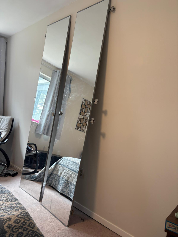 IKEA Äheim Mirror Door 50x229 cm
