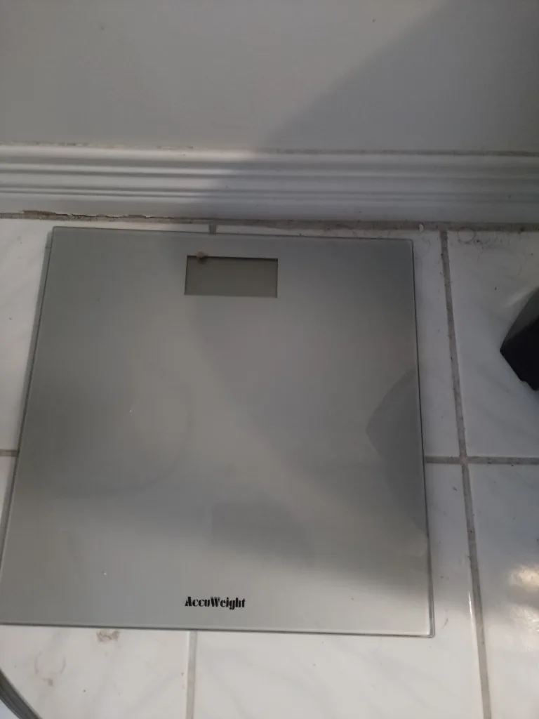 AccuWeight Digital Bathroom Scale