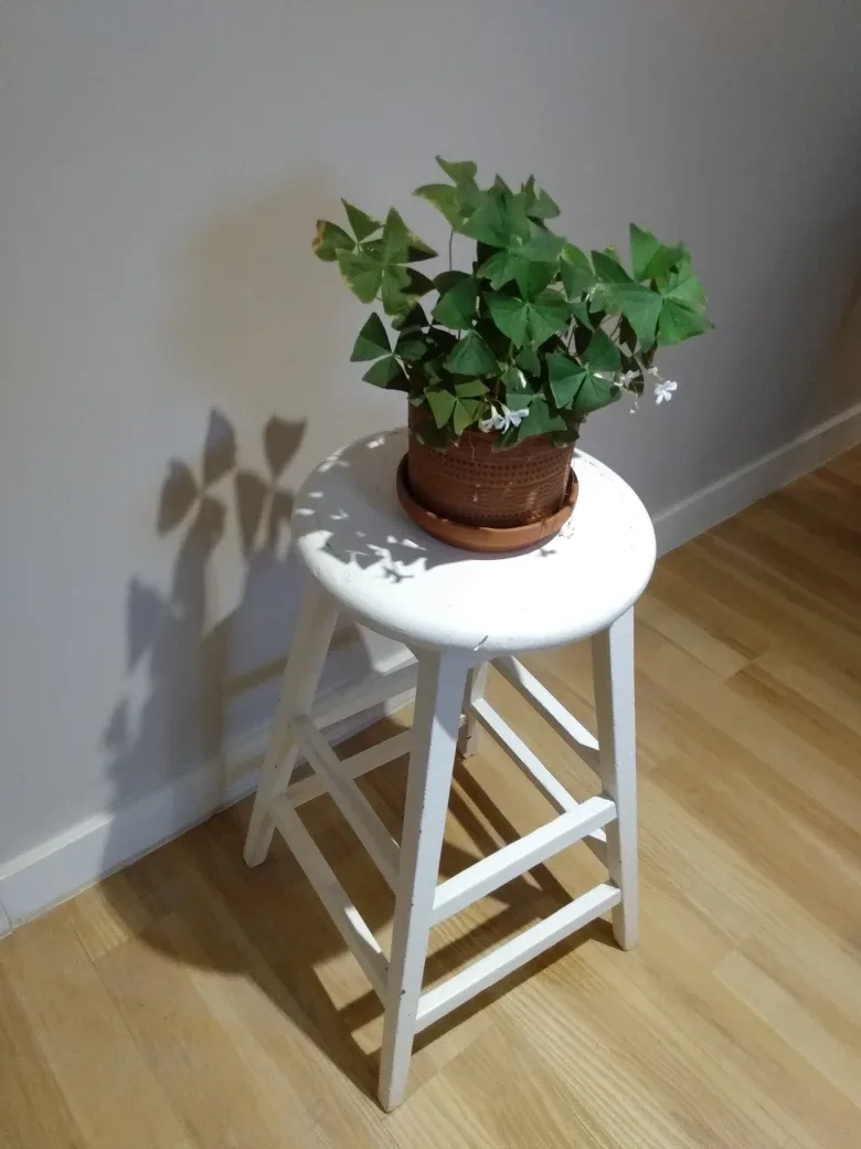 White Wooden Stool image indicator(2)