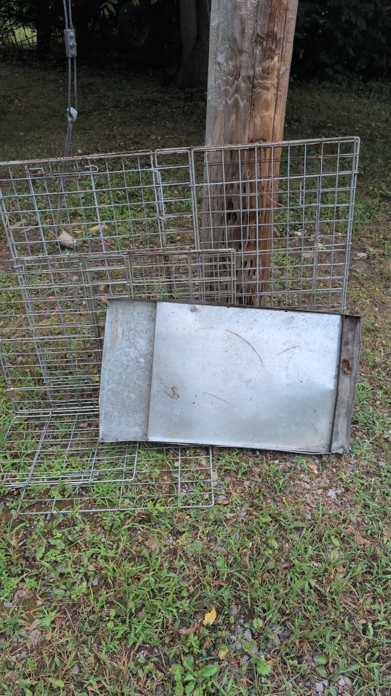freewire dog crates