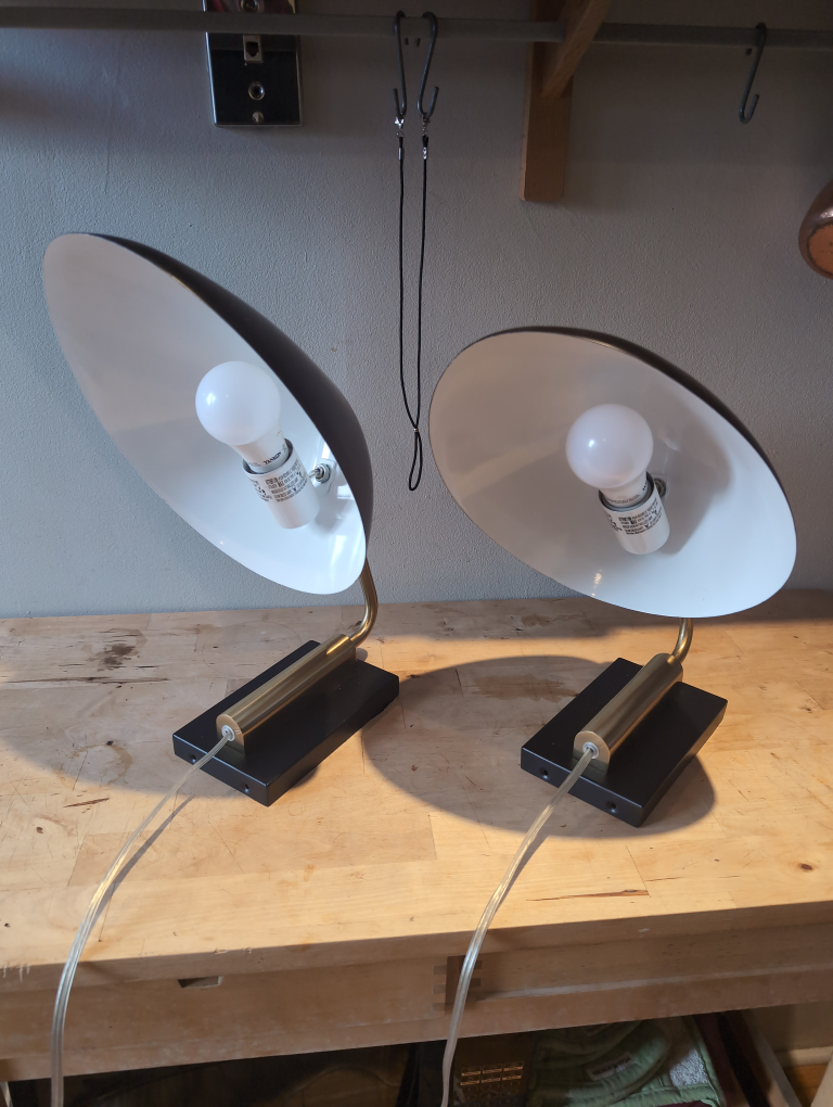 West Elm - Curvilinear collection - Black & Gold Wall Lamps (2) - photo 4