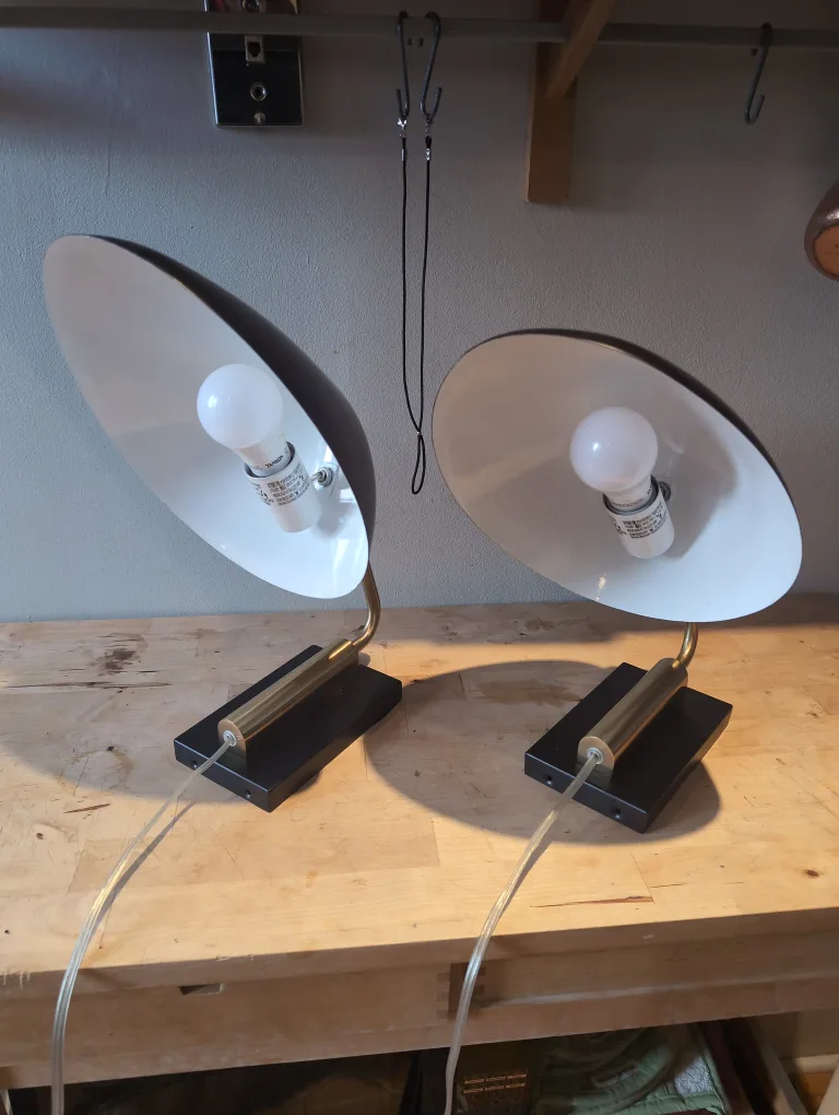 West Elm - Curvilinear collection - Black & Gold Wall Lamps (2) image indicator(4)