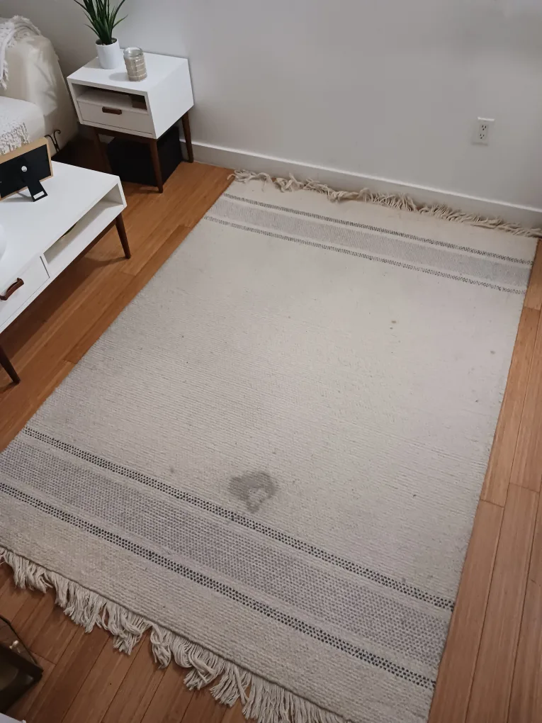 Area Rug w/ Fringe – Beige w/ Gray Stripes (Needs Cleaning) image indicator(4)