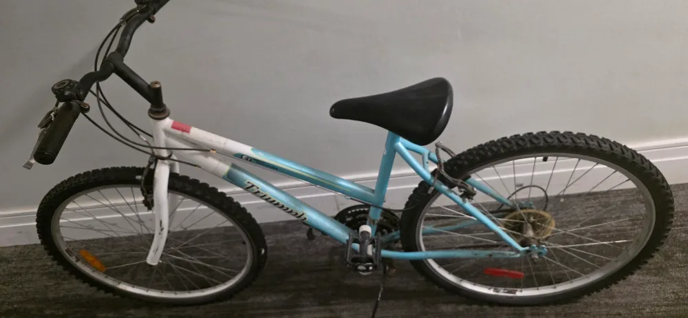 Triumph Mountain Bike image indicator(3)