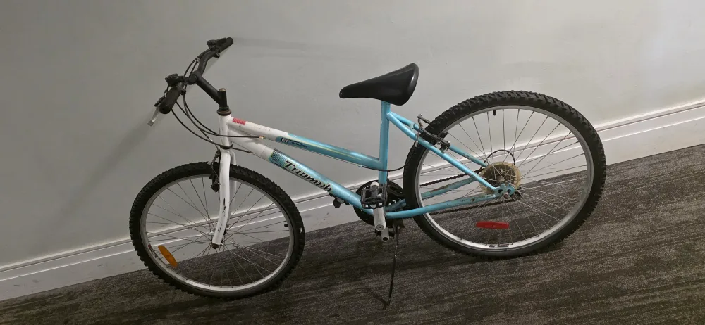 Triumph Mountain Bike image indicator(4)