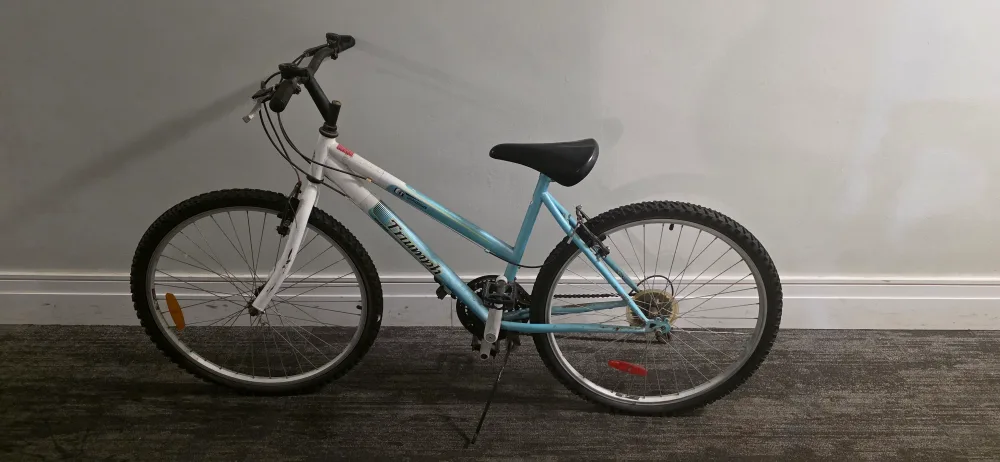 Triumph Mountain Bike image indicator(5)