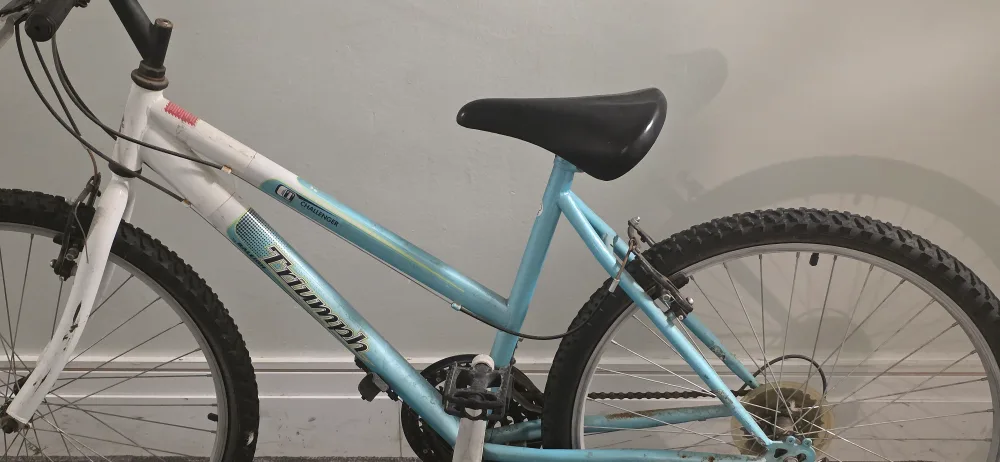 Triumph Mountain Bike image indicator(6)