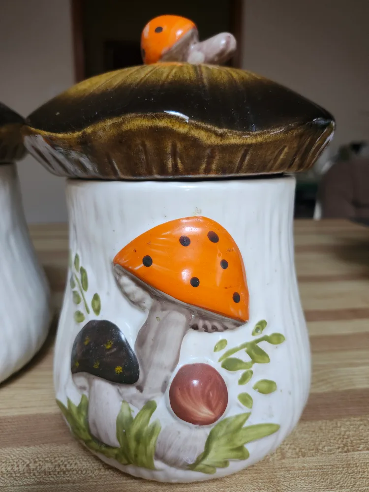 Vintage Merry Mushroom Canister Set from Sears and Roebuck 1970s image indicator(3)