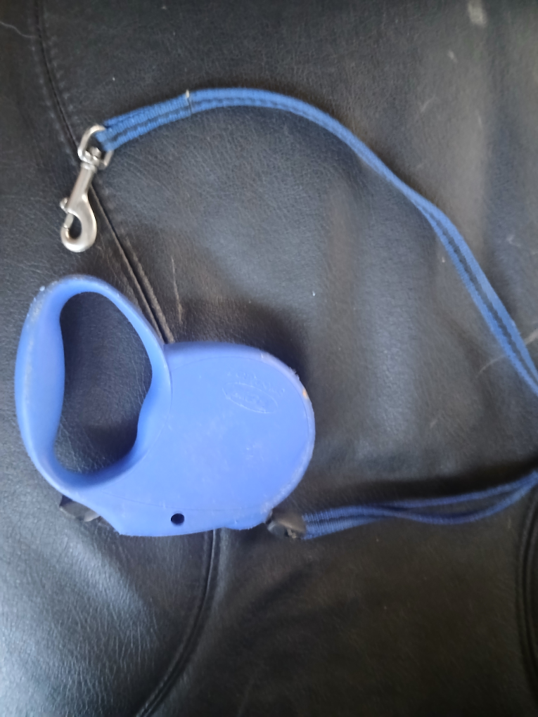 Blue Retractable Dog Leash