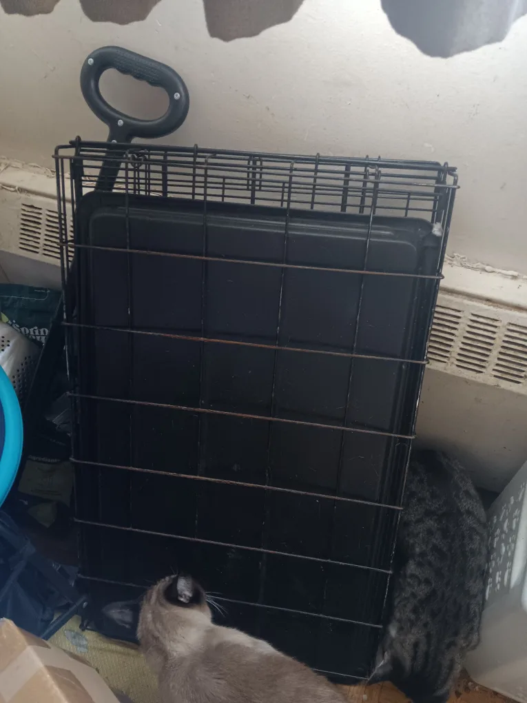 Dog/Cat metal crate thumbnail