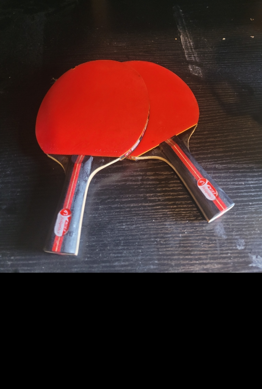 Ping Pong Table with Paddles - photo 3