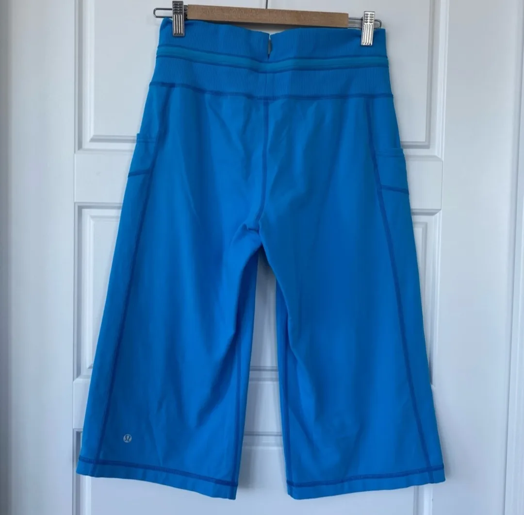 Lululemon Wide Leg Pants image indicator(2)
