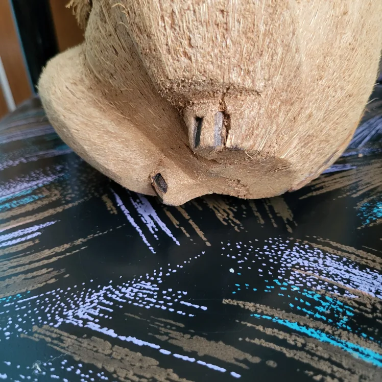 Coconut Monkey Figurine image indicator(5)