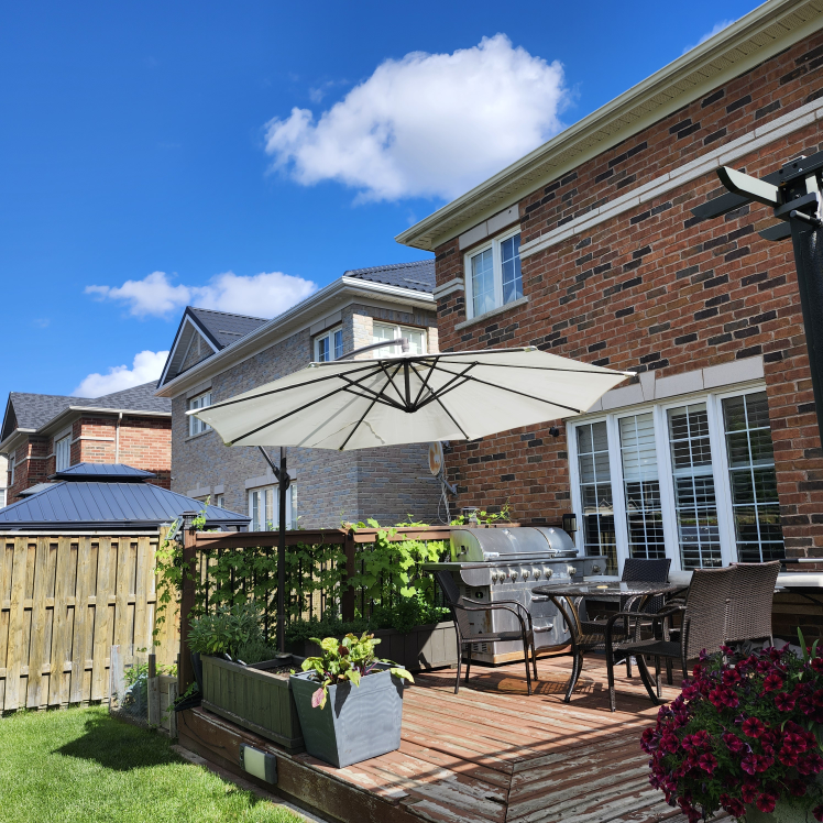 Patio Umbrella white color 11 feet