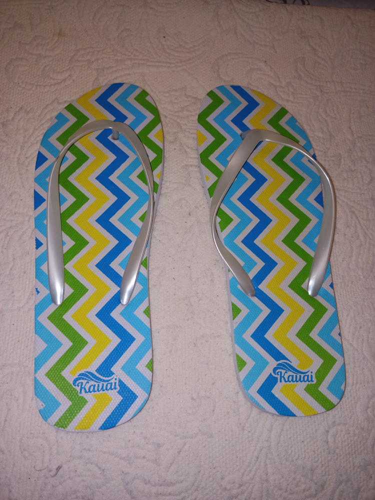 FlipFlops - Size 38/39 EU - Size 8 to 9 1\2