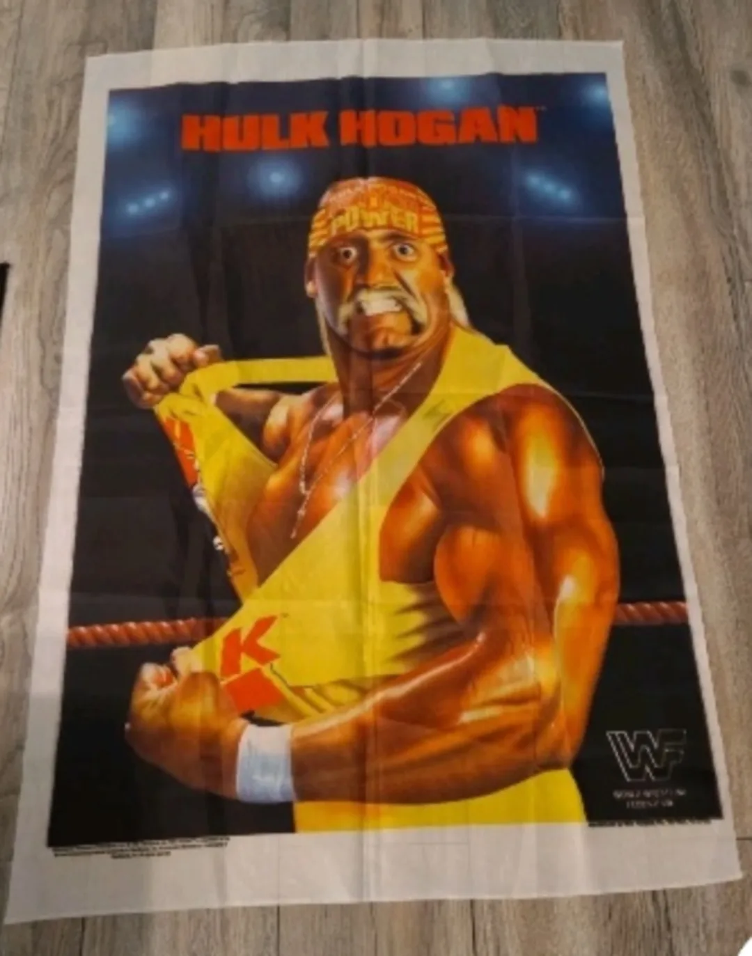 Hulk Hogan WWF Wrestling tapestry! thumbnail