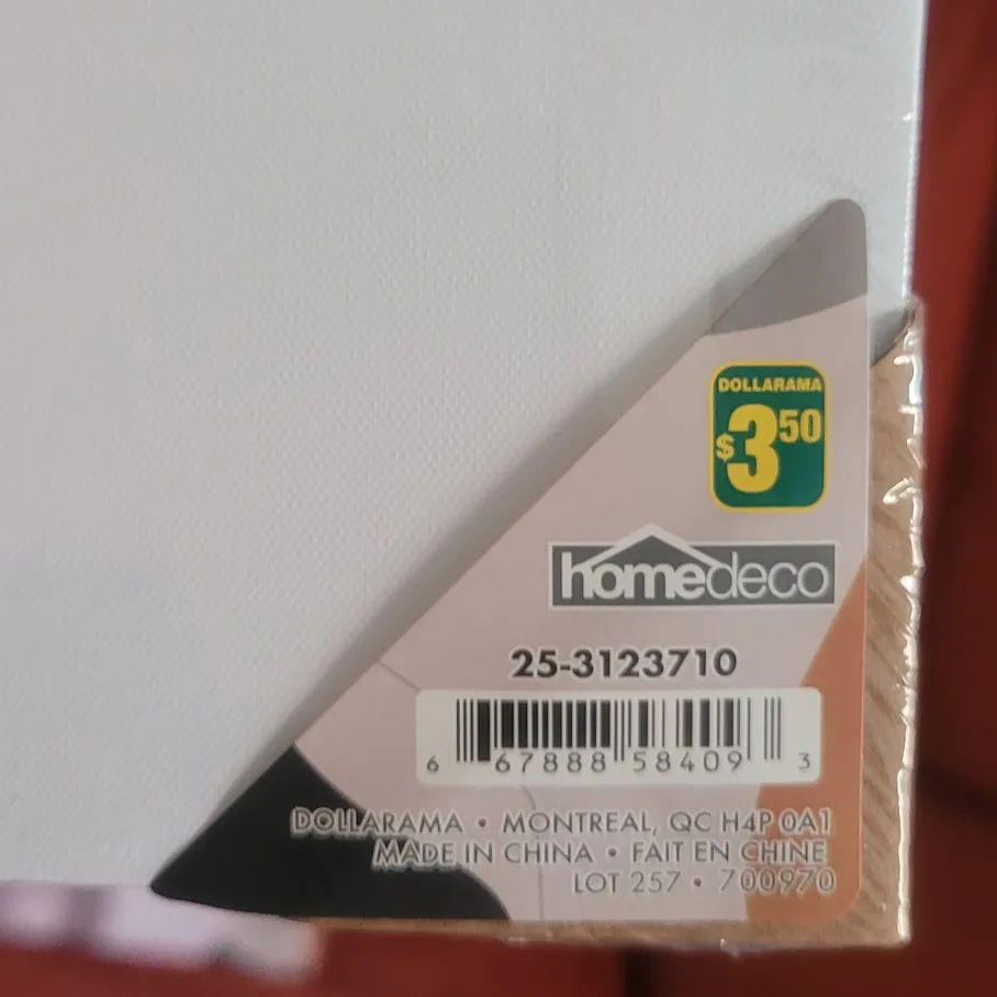 🧡 Home Deco Animal Canvas Wall Art 30.5cmX30.5cm image indicator(2)